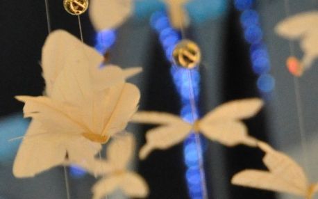 Image Articles